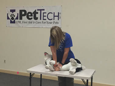 Pet CPR Demonstration by Certified Instructor Trudy Garvey
